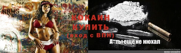 мдпв Богородицк